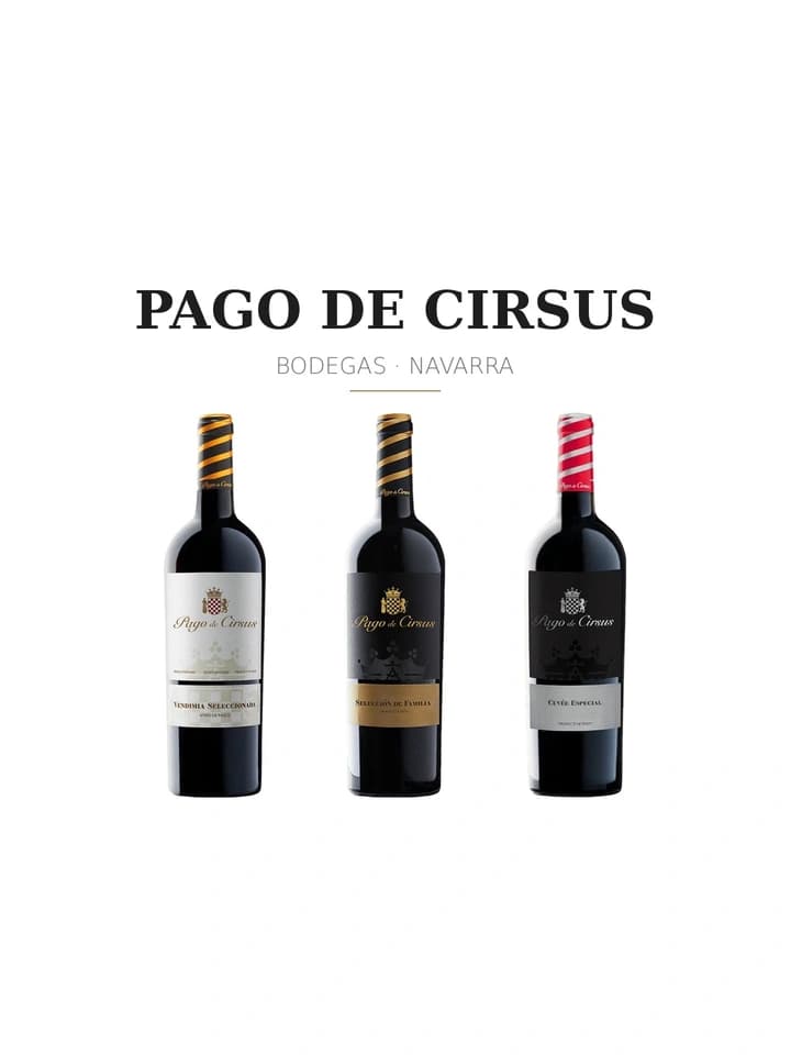 Logotipo de Pago de Cirsus